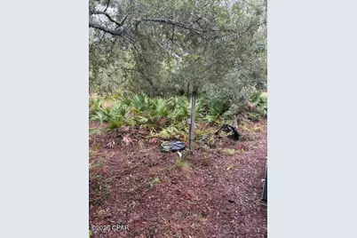 4539 NW Miller/White Ln Road, Altha, FL 32421 - Photo 17