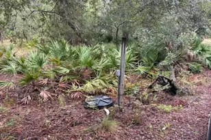 4539 NW Miller/White Ln Rd, Altha, FL 32421 - Photo 17