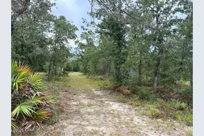 4539 NW Miller/White Ln Road, Altha, FL 32421 - Photo 39