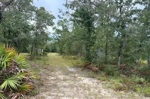 4539 NW Miller/White Ln Rd, Altha, FL 32421 - Photo 39