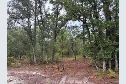 4539 NW Miller/White Ln Road, Altha, FL 32421 - Photo 19