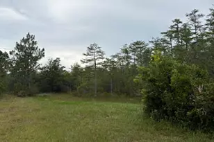 4539 NW Miller/White Ln Rd, Altha, FL 32421 - Photo 29