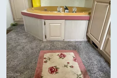 4539 NW Miller/White Ln Road, Altha, FL 32421 - Photo 73