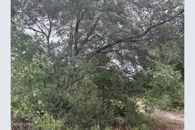 4539 NW Miller/White Ln Road, Altha, FL 32421 - Photo 47