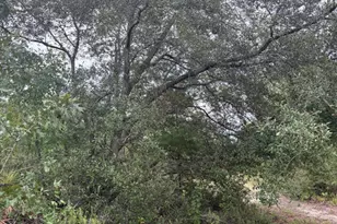 4539 NW Miller/White Ln Rd, Altha, FL 32421 - Photo 47