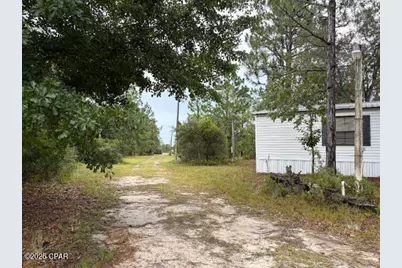 4539 NW Miller/White Ln Road, Altha, FL 32421 - Photo 5