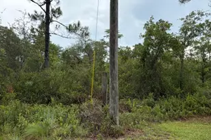 4539 NW Miller/White Ln Rd, Altha, FL 32421 - Photo 27