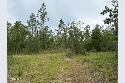 4539 NW Miller/White Ln Road, Altha, FL 32421 - Photo 41