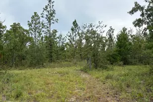 4539 NW Miller/White Ln Rd, Altha, FL 32421 - Photo 41