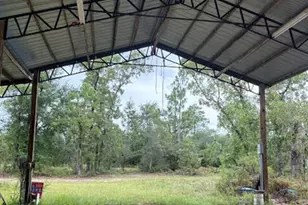 4539 NW Miller/White Ln Rd, Altha, FL 32421 - Photo 59