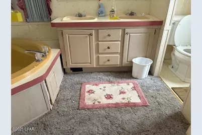 4539 NW Miller/White Ln Road, Altha, FL 32421 - Photo 71