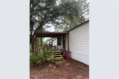 4539 NW Miller/White Ln Road, Altha, FL 32421 - Photo 3