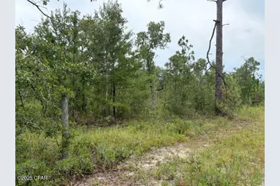 4539 NW Miller/White Ln Road, Altha, FL 32421 - Photo 45