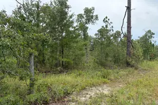 4539 NW Miller/White Ln Rd, Altha, FL 32421 - Photo 45