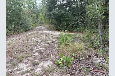 4539 NW Miller/White Ln Road, Altha, FL 32421 - Photo 49