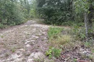 4539 NW Miller/White Ln Rd, Altha, FL 32421 - Photo 49