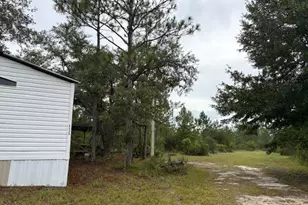 4539 NW Miller/White Ln Rd, Altha, FL 32421 - Photo 9