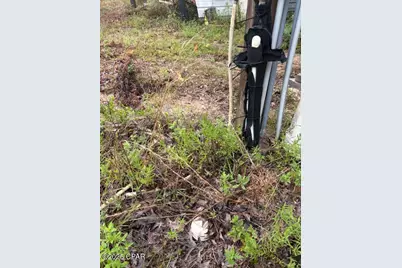 4539 NW Miller/White Ln Road, Altha, FL 32421 - Photo 55