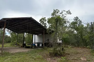 4539 NW Miller/White Ln Rd, Altha, FL 32421 - Photo 21