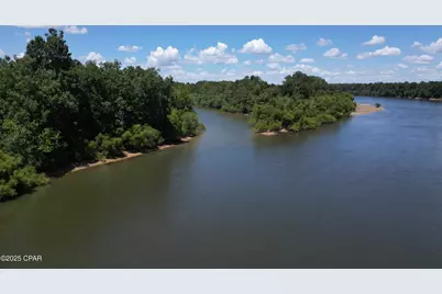 8599 Gadsen Trail, Sneads, FL 32460 - Photo 11