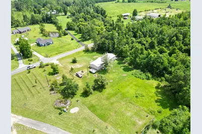 20655 NE Parrish Lake Road, Blountstown, FL 32424 - Photo 3