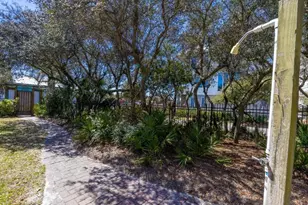 81 S Orange St, Inlet Beach, FL 32461 - Photo 19