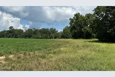 2183 Highway 73, Marianna, FL 32448 - Photo 1