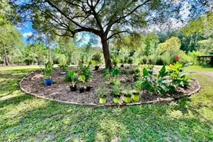 2852 Feral Ln, Caryville, FL 32427 - Photo 19