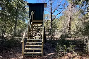 8645 Moores Mill Creek Rd, Baker, FL 32531 - Photo 19