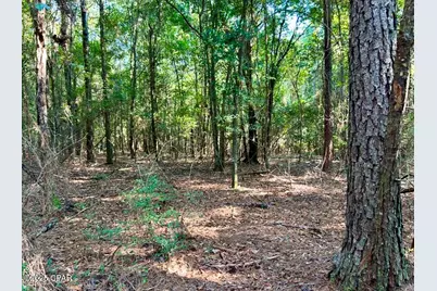 8645 Moores Mill Creek Road, Baker, FL 32531 - Photo 23