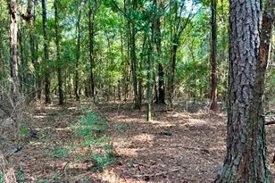 8645 Moores Mill Creek Rd, Baker, FL 32531 - Photo 23