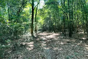 8645 Moores Mill Creek Rd, Baker, FL 32531 - Photo 15