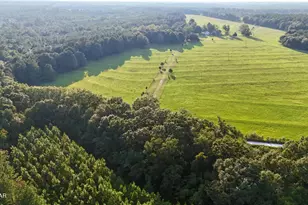 8645 Moores Mill Creek Rd, Baker, FL 32531 - Photo 37