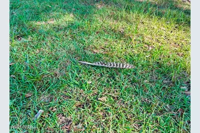 8645 Moores Mill Creek Road, Baker, FL 32531 - Photo 29