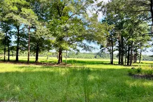 8645 Moores Mill Creek Rd, Baker, FL 32531 - Photo 13