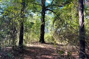 8645 Moores Mill Creek Rd, Baker, FL 32531 - Photo 27