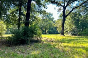 8645 Moores Mill Creek Rd, Baker, FL 32531 - Photo 21