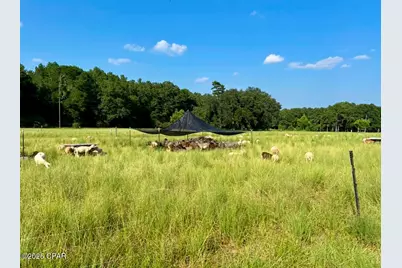 8645 Moores Mill Creek Road, Baker, FL 32531 - Photo 9