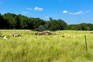 8645 Moores Mill Creek Rd, Baker, FL 32531 - Photo 9