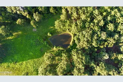 8645 Moores Mill Creek Road, Baker, FL 32531 - Photo 5