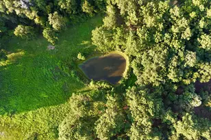 8645 Moores Mill Creek Rd, Baker, FL 32531 - Photo 5