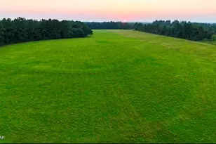 8645 Moores Mill Creek Rd, Baker, FL 32531 - Photo 3