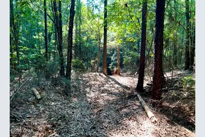 8645 Moores Mill Creek Road, Baker, FL 32531 - Photo 17