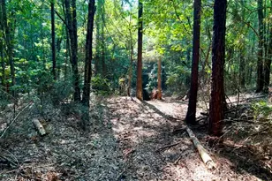 8645 Moores Mill Creek Rd, Baker, FL 32531 - Photo 17