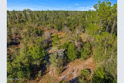 Tbd NW County Road 274, Altha, FL 32421 - Photo 15
