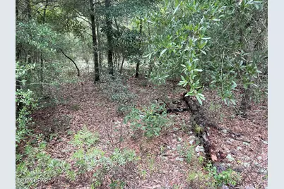 Lot 37 Girard Court, Alford, FL 32420 - Photo 1