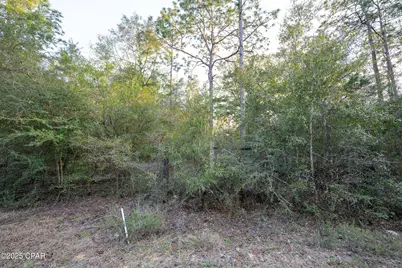 0 Derby Drive, Chipley, FL 32428 - Photo 25