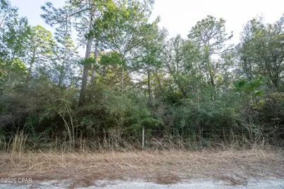 0 Derby Drive, Chipley, FL 32428 - Photo 29