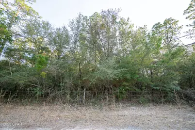 0 Derby Drive, Chipley, FL 32428 - Photo 27