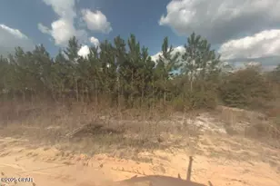 12125 Pineridge Rd, Fountain, FL 32438 - Photo 1